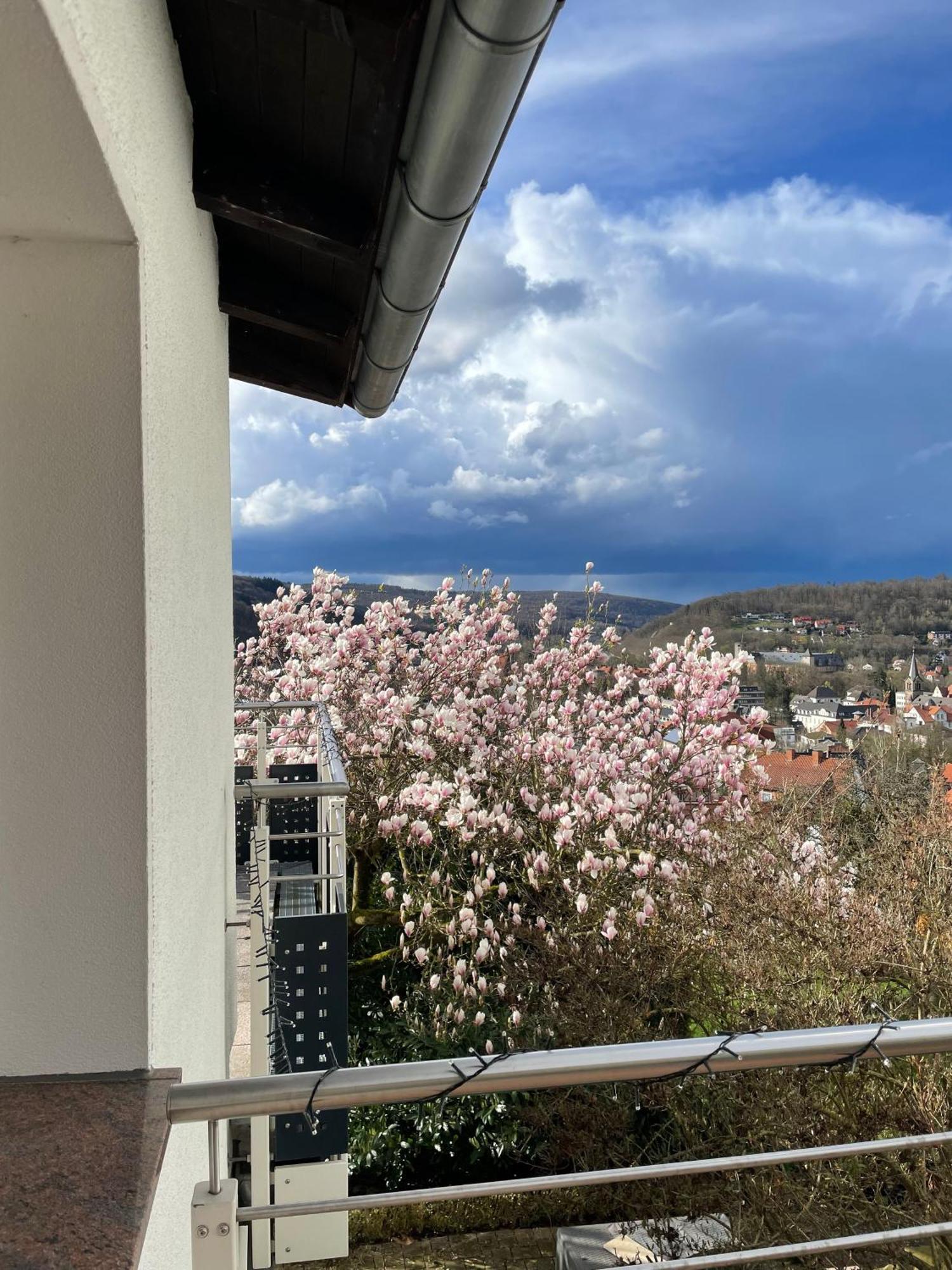 Ferienhaus Chalet Andante Hannoversch Münden Kültér fotó